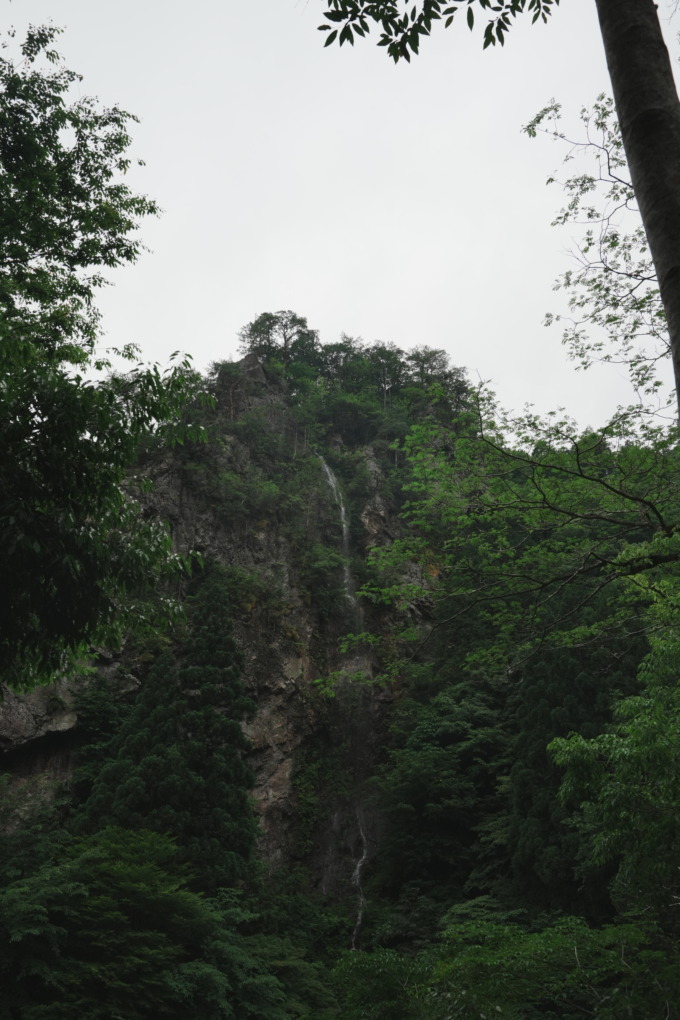DSC01514 - S