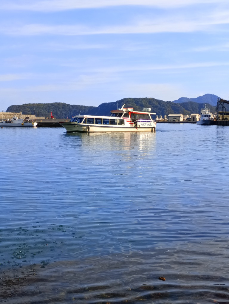 IMG_20251115_100354_1