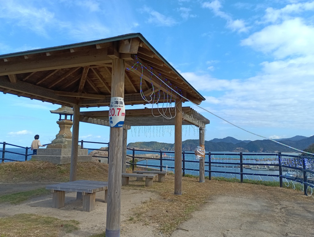 IMG_20251115_115743_1