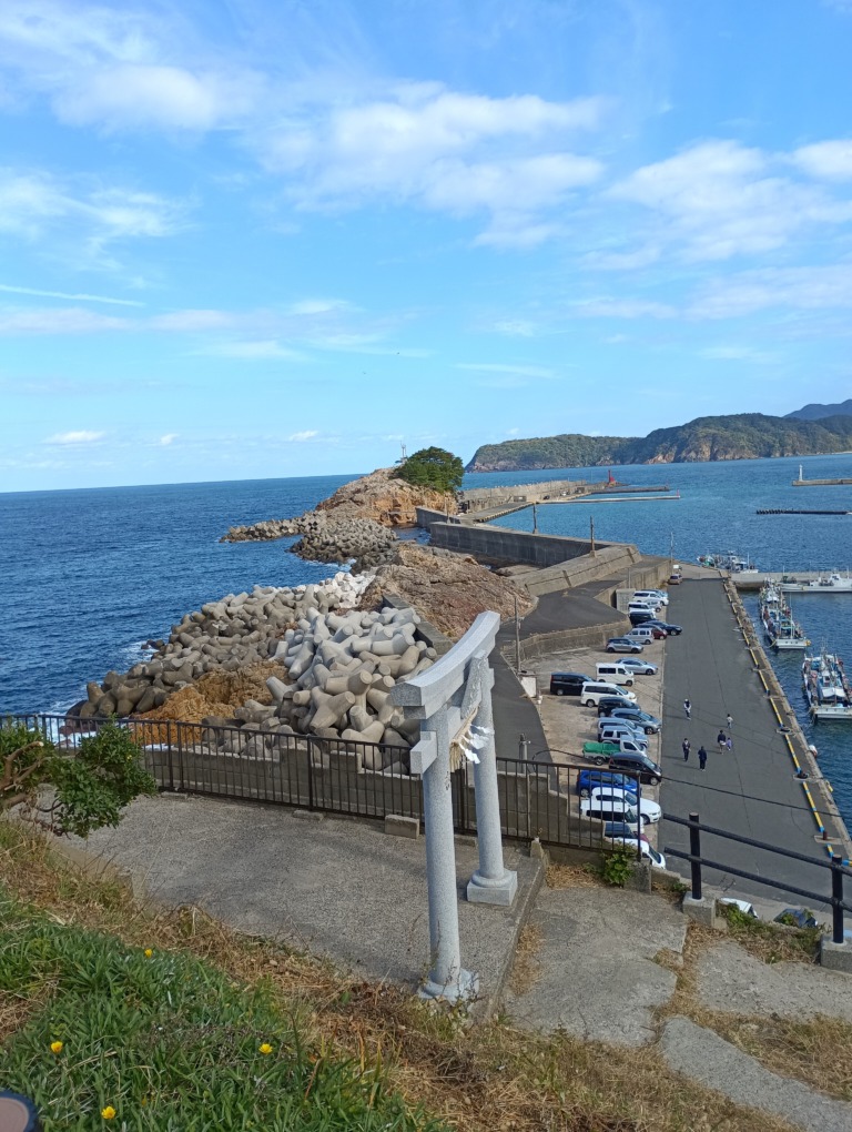 IMG_20251115_120054_1